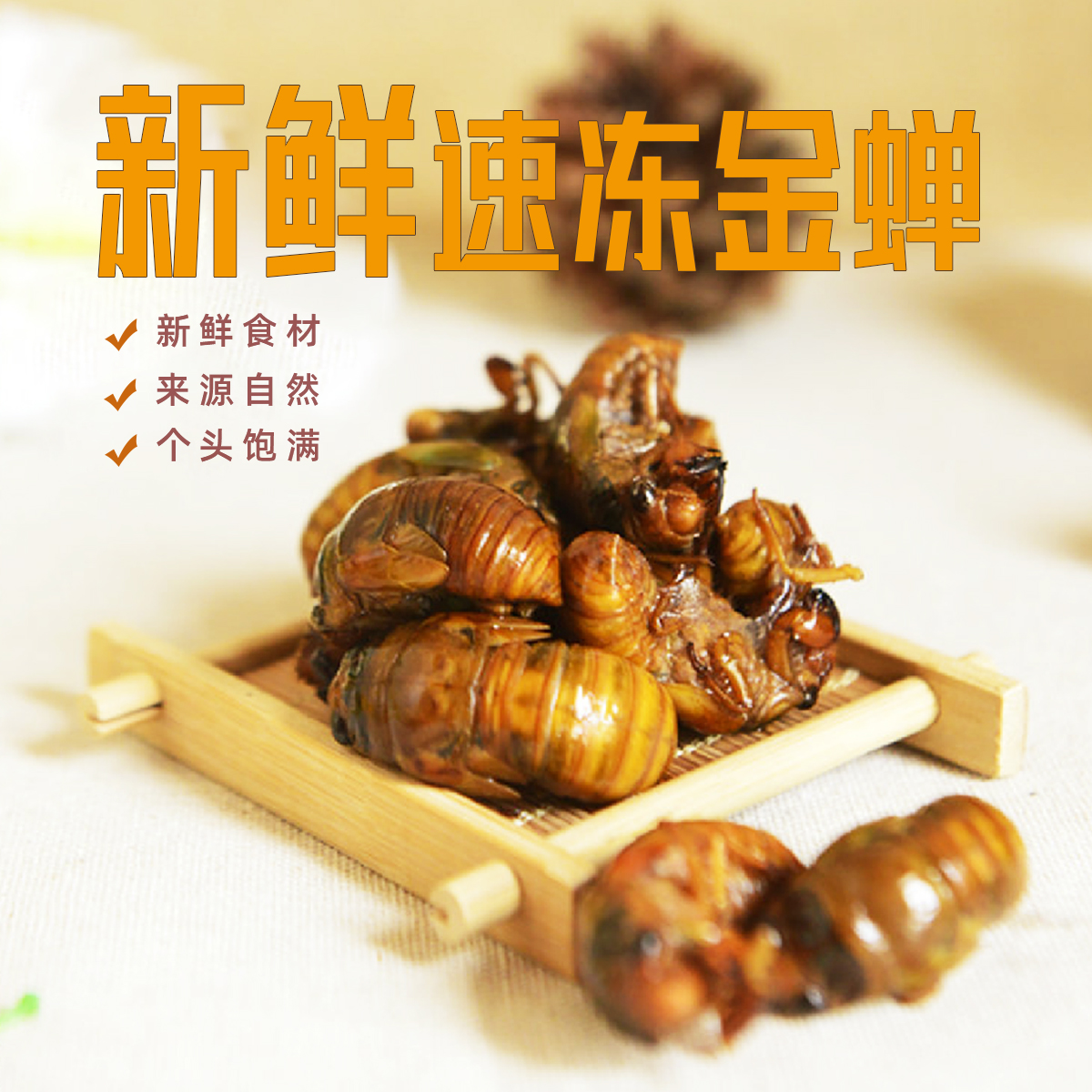 新鮮速凍金蟬 Cicada